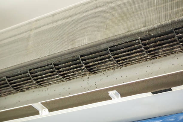 Best Best Air Duct Cleaning Company  in Beaufort, SC